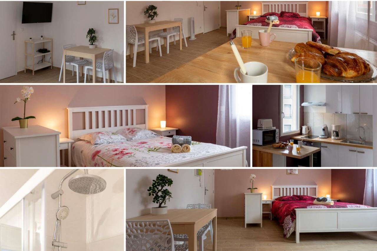 Loc Trotteur Le Pivoine Studio Grand Confort, Gare Sncf De Лурд Экстерьер фото